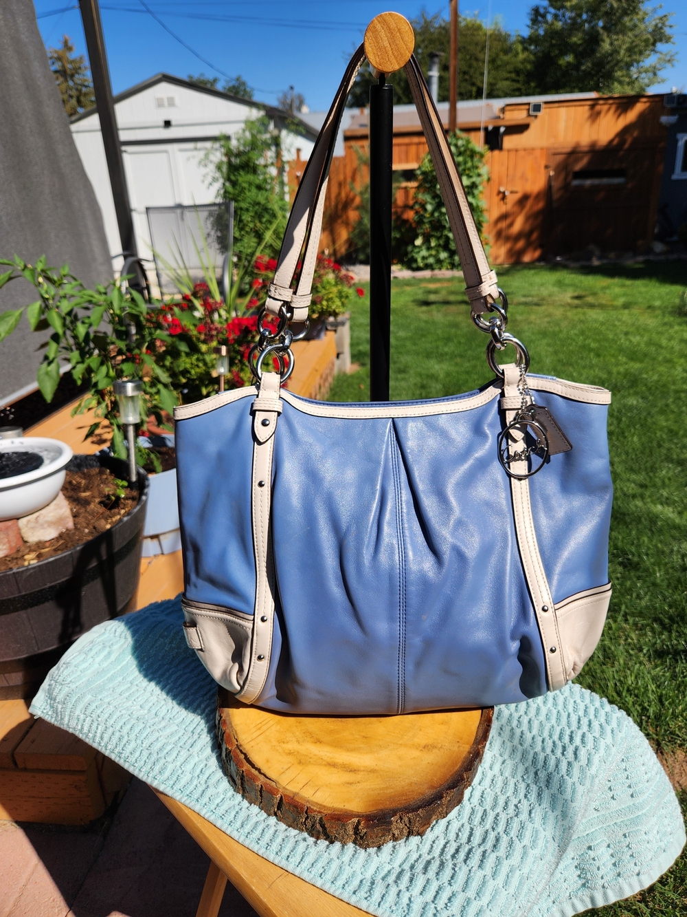Coach Alexandra Large Tote / Hobo Bag